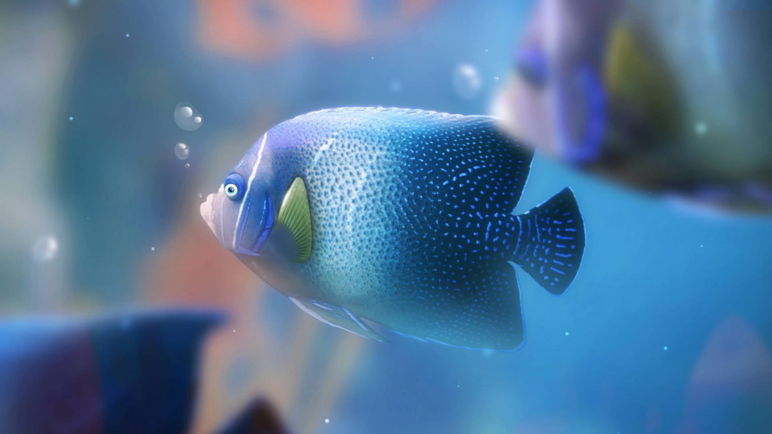 Soad Fish How to raise soda fish? Soda Fish Feeding – PETSTOY.ORG